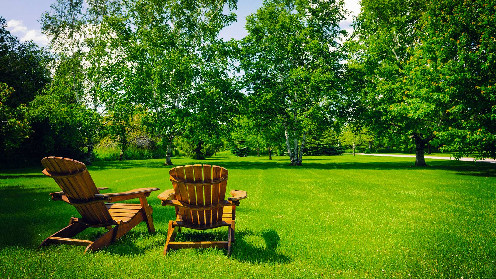 A well-maintained property with healthy trees increasing its value.