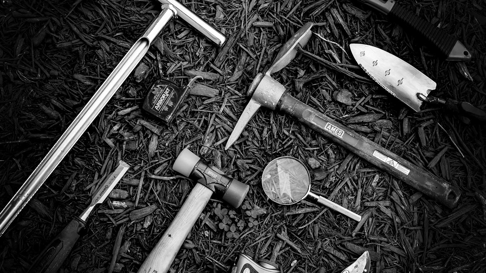 Tools used for tree and shrub planting, soil assessment, and inspection