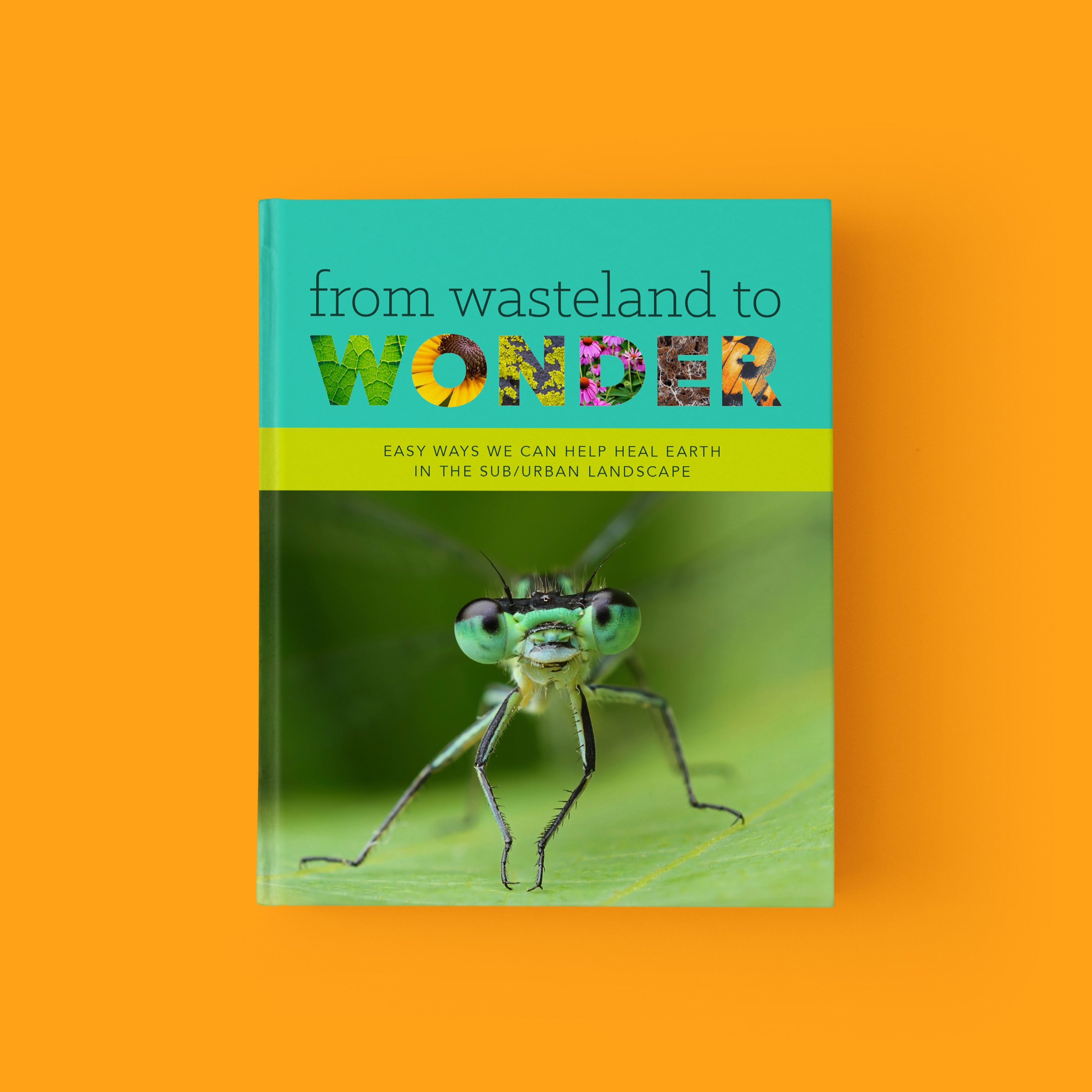From Wasteland to Wonder book cover, featuring a dragonfly