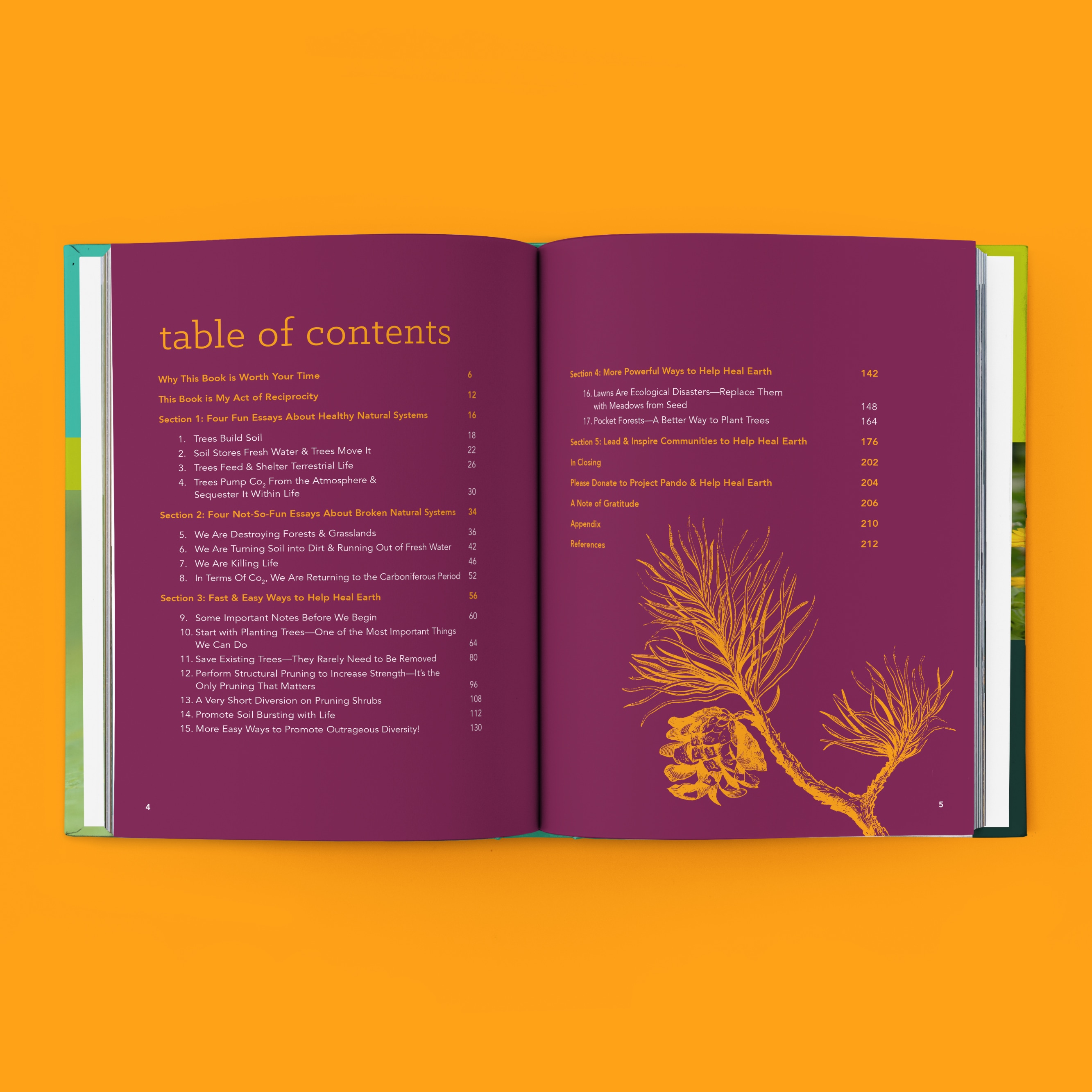 From Wasteland to Wonder book preview, featuring a table of contents