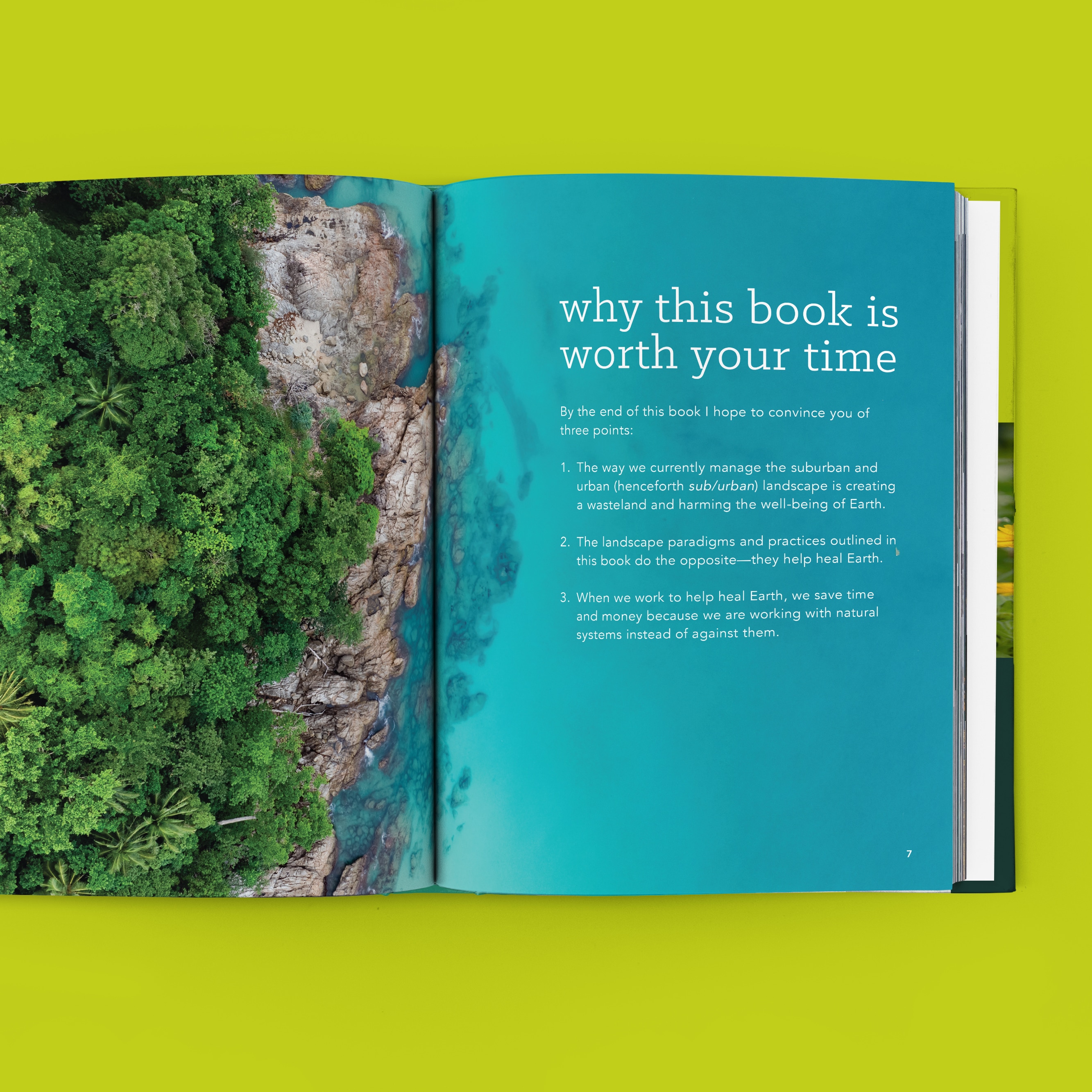 From Wasteland to Wonder book preview, featuring a spread on why this book is worth your time, showing a lush forest and sea