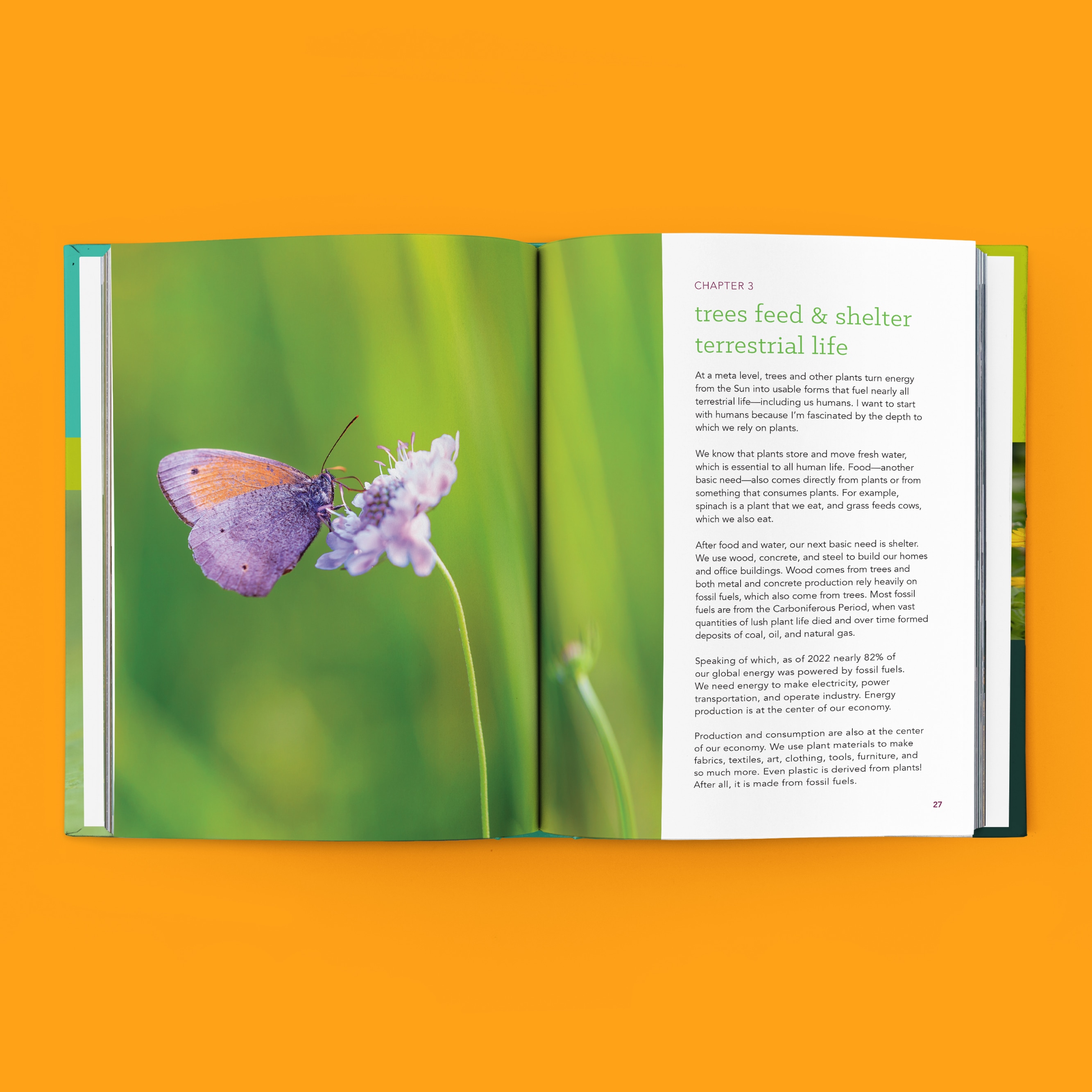 From Wasteland to Wonder book preview, featuring a chapter on how trees feed and shelter terrestrial life, showing a moth on a flower