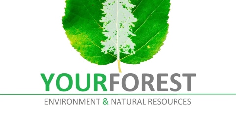 YourForest Podcast with Matthew Kristoff