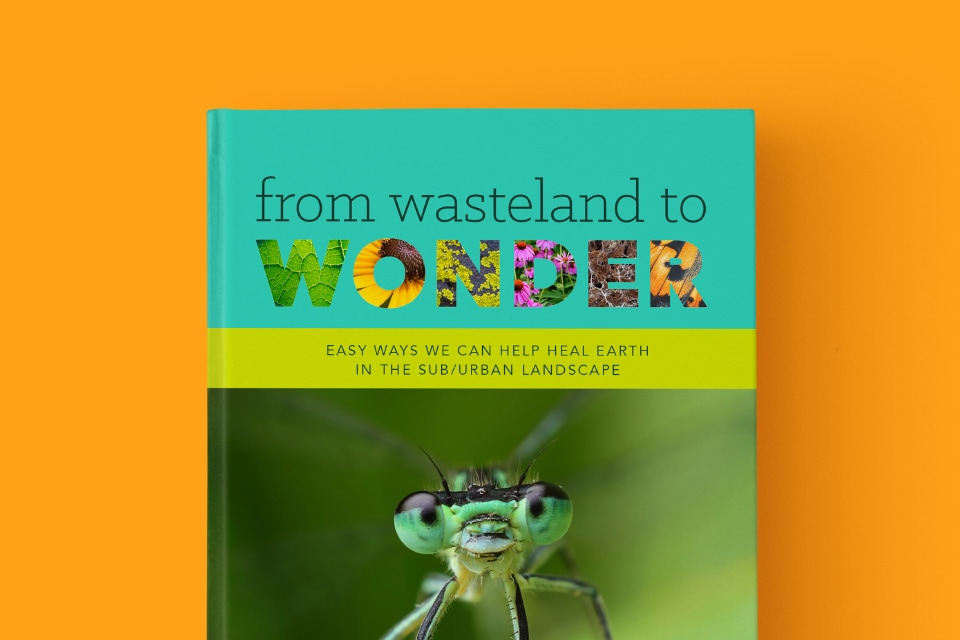 Book cover for 'From Wasteland to Wonder'