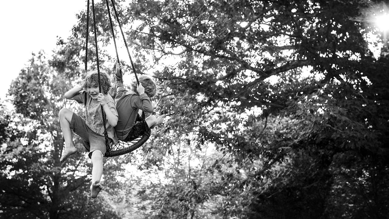 happy children playing on a tree rope swing