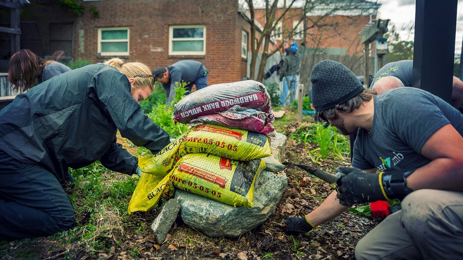 Mulch applied around base of tree