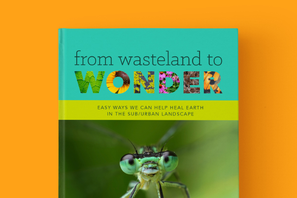 From Wasteland to Wonder