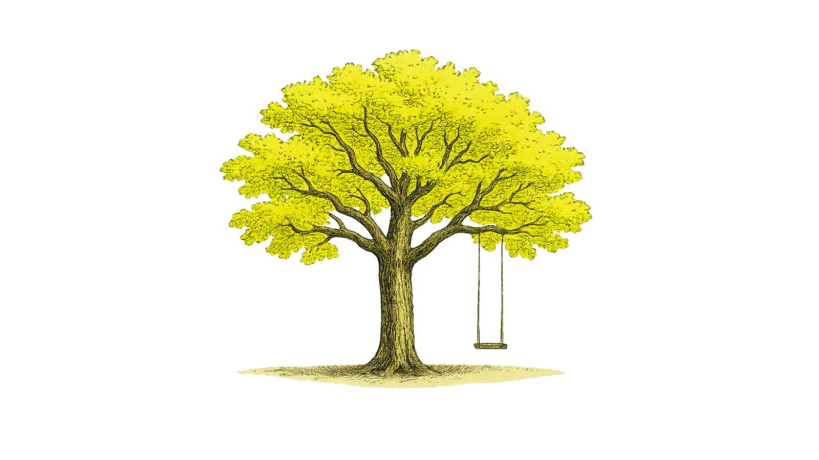 Illustration of a a large oak tree with a swing
