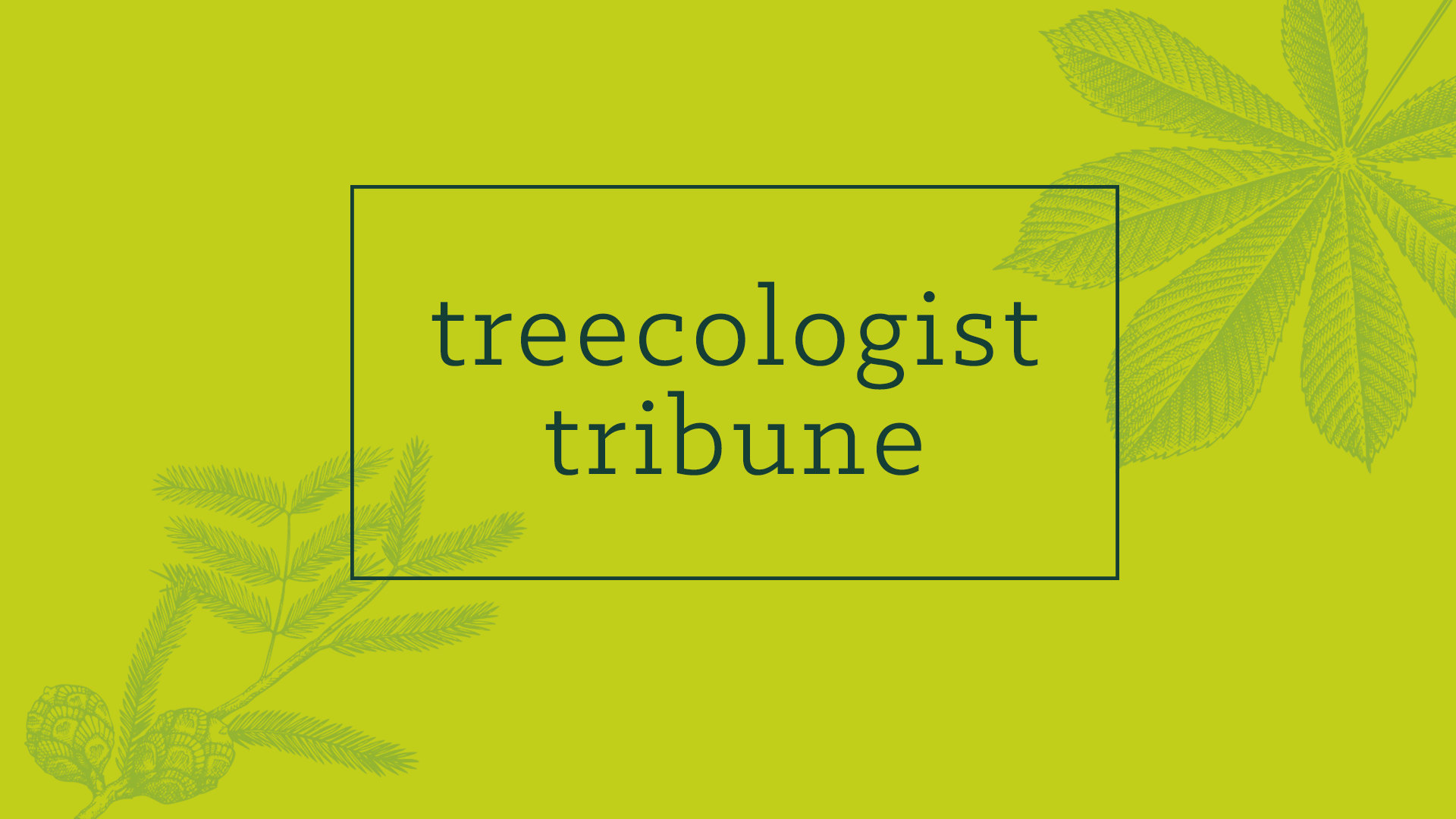 Treecologist Tribune newsletter header design