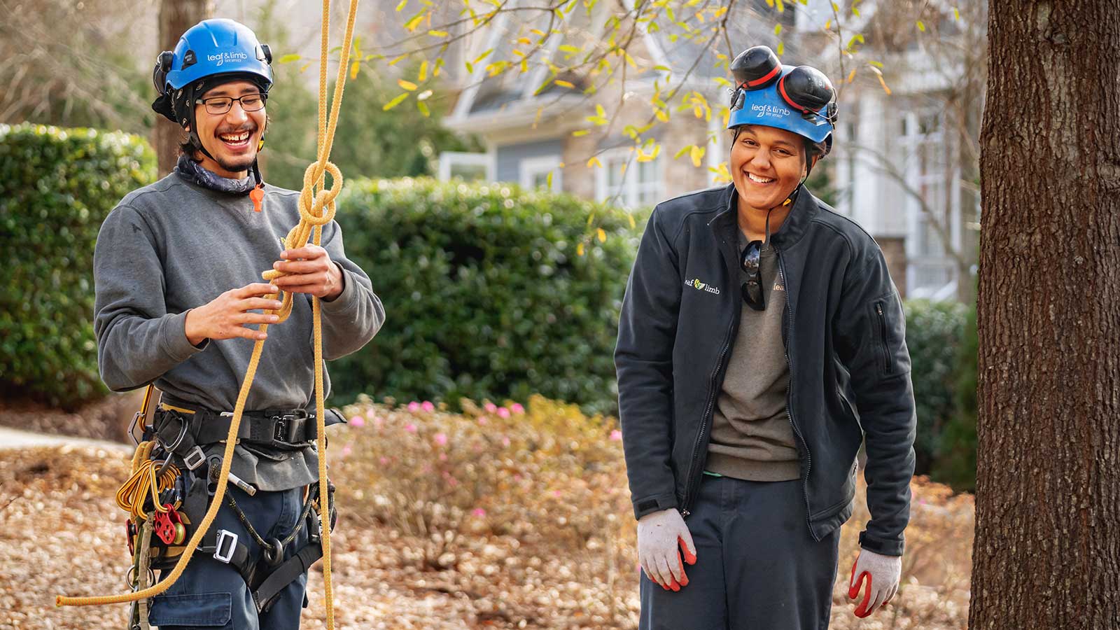 Tree care specialists and arborists demonstrating safe tree climbing