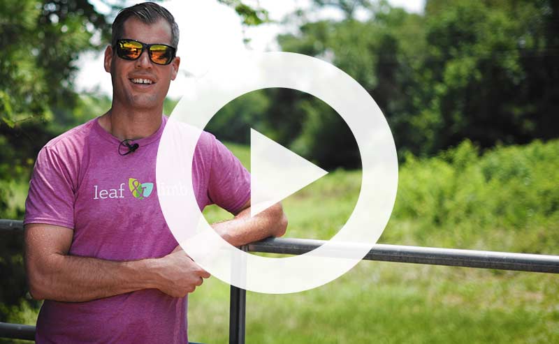Basil Camu demonstrating young trees at Project Pando tree farm