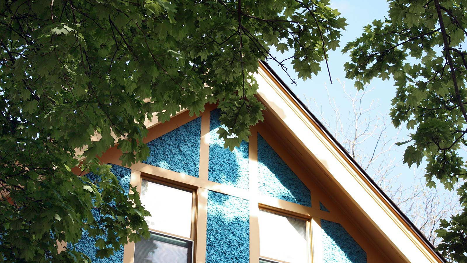 picture of a blue house with branches touching the roof