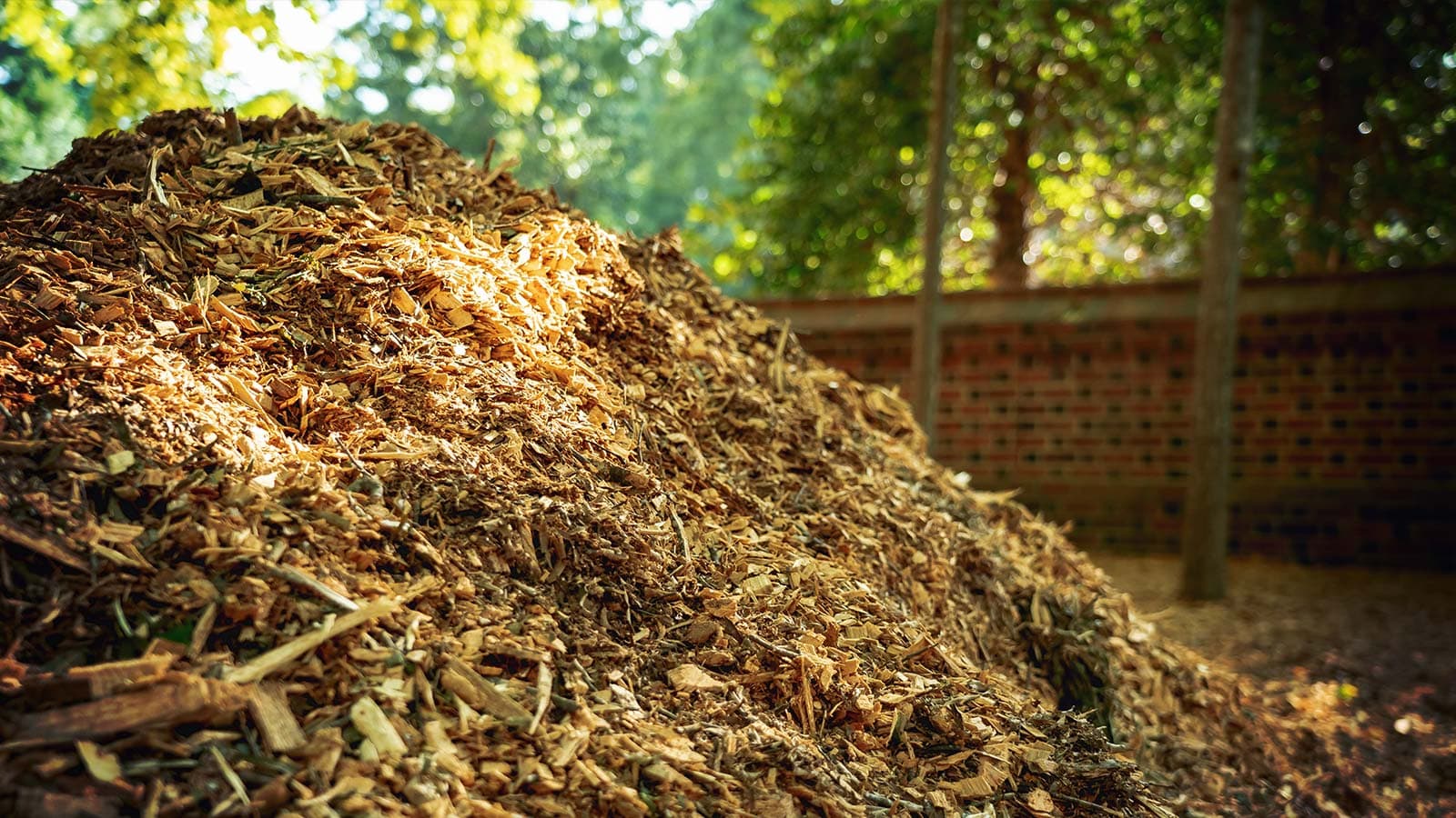 Different types of mulch materials for tree and shrub care.