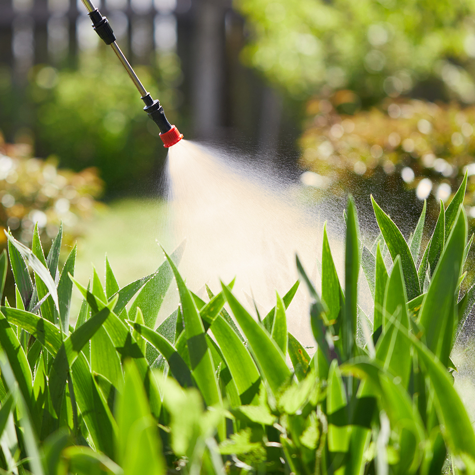 Compost tea being sprayed on lawn