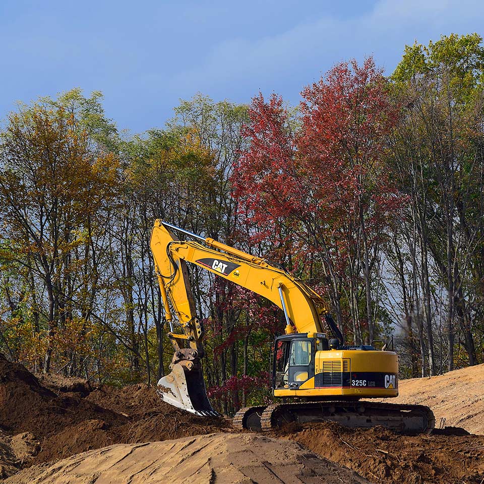 Dead tree near construction site, roots compromised