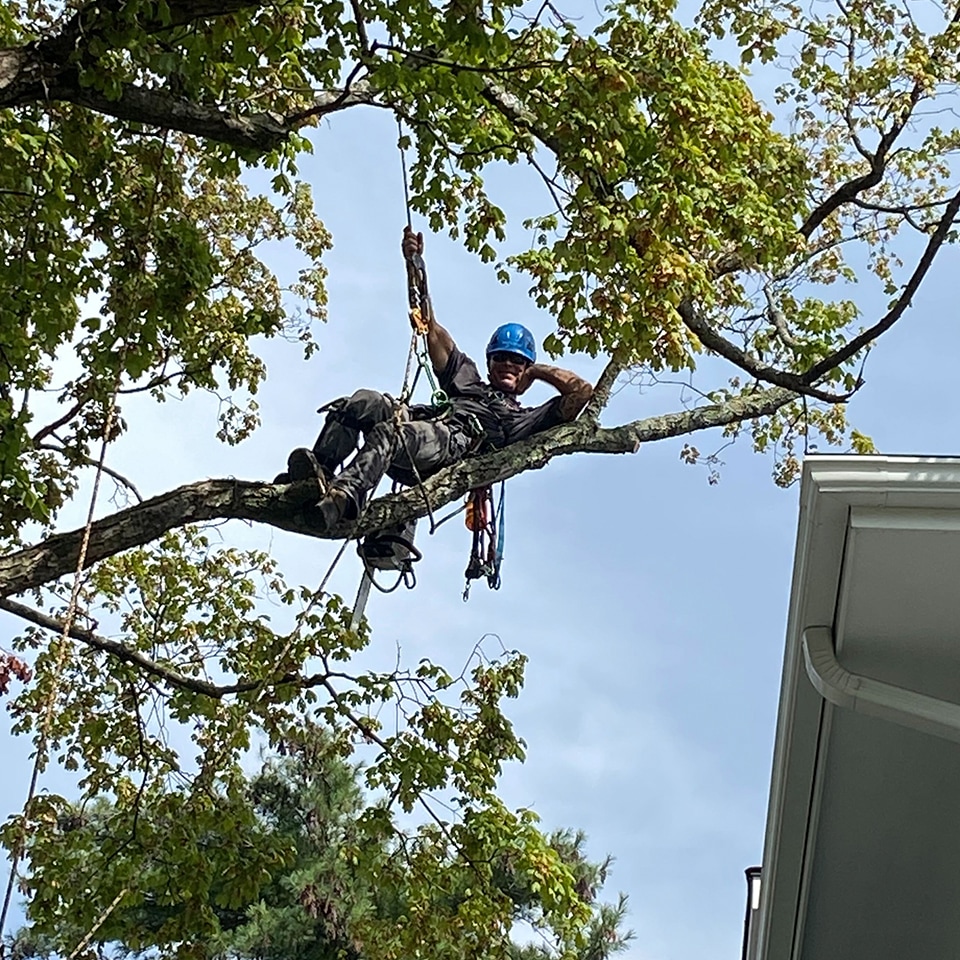 Kelly, a seasoned climber, strikes a pose. (Don't try this one at home.)