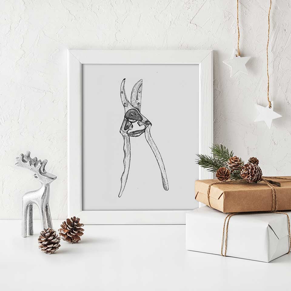 Felco hand pruners, recommended for small trees and shrubs