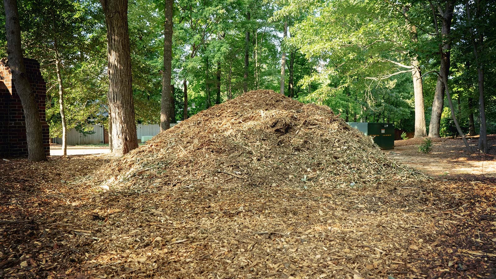Proper mulch installation techniques for tree health.