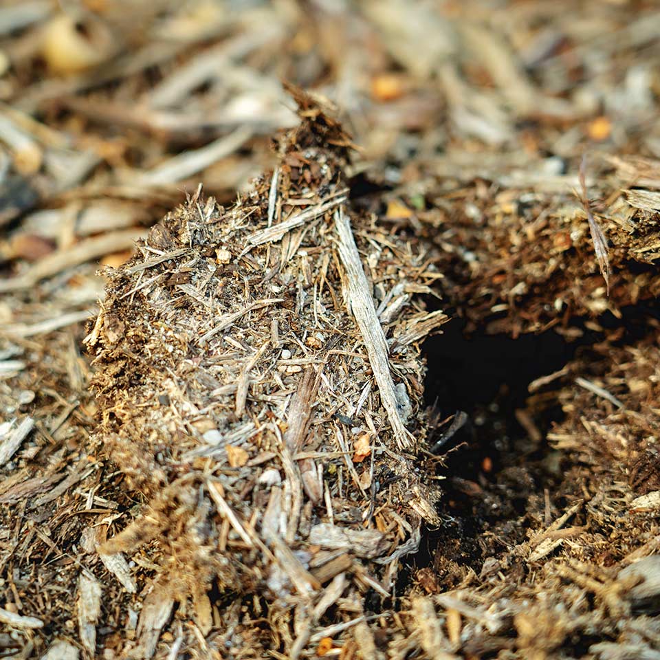 Wood chips allowing water flow, not hydrophobic