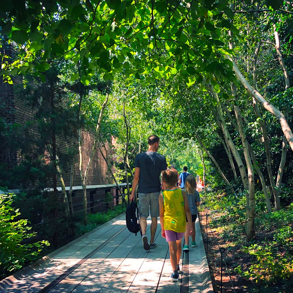The Highline park in Manhattan with dense rows of trees