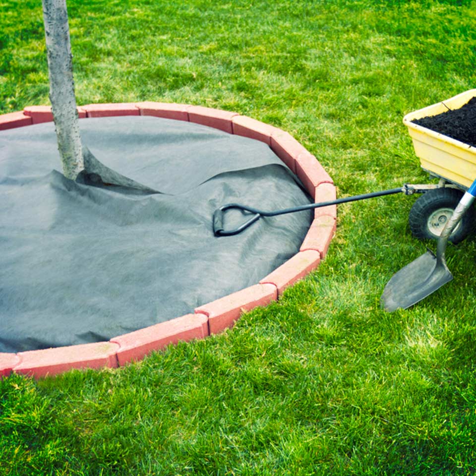 Landscape fabric used as mulch