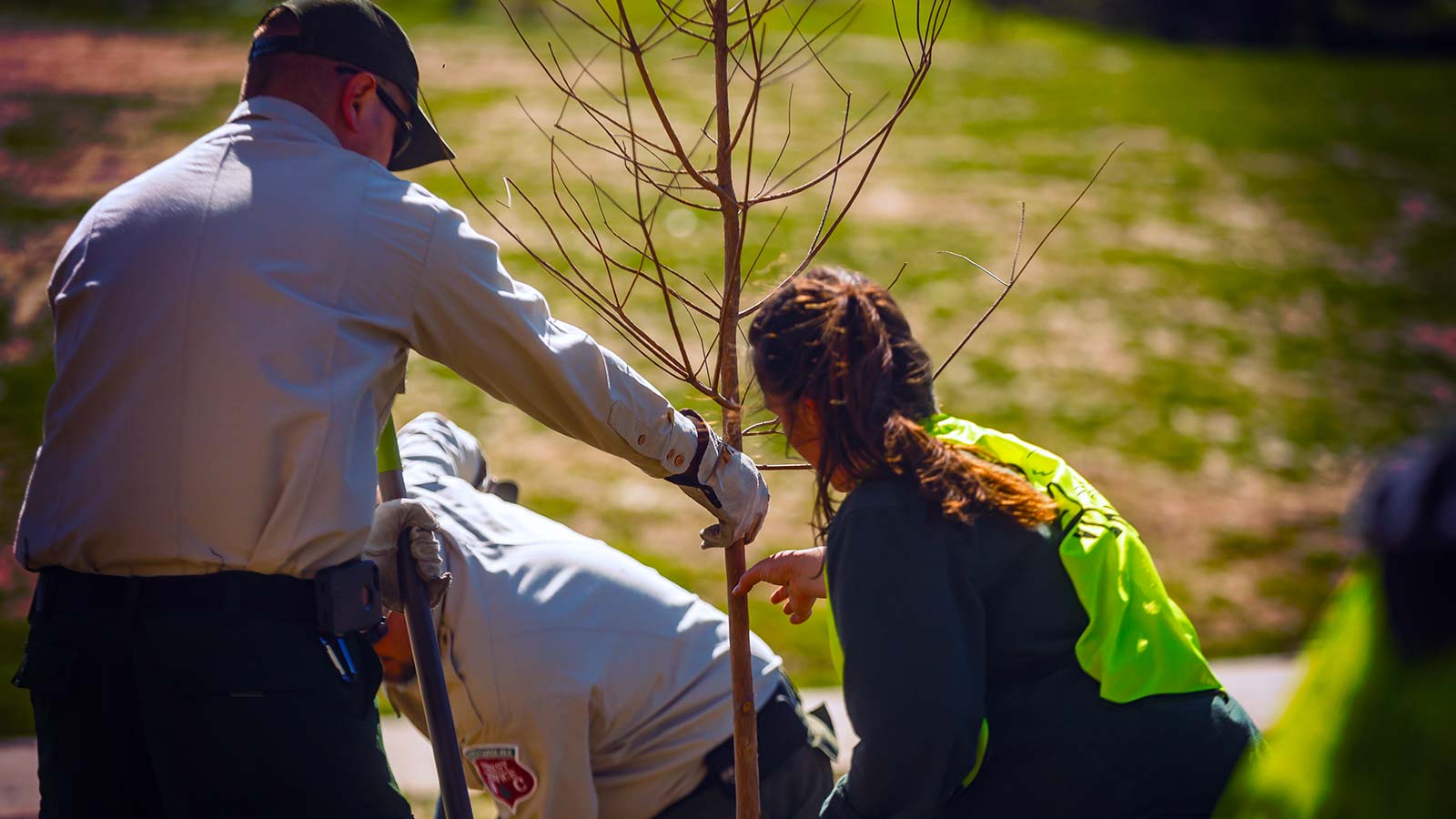 Leaf & Limb volunteers planting trees at Durham Central Park
