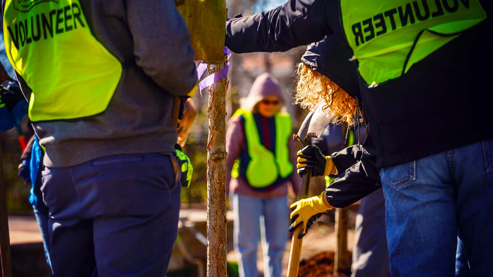 Project Pando volunteers working in community park improvement.