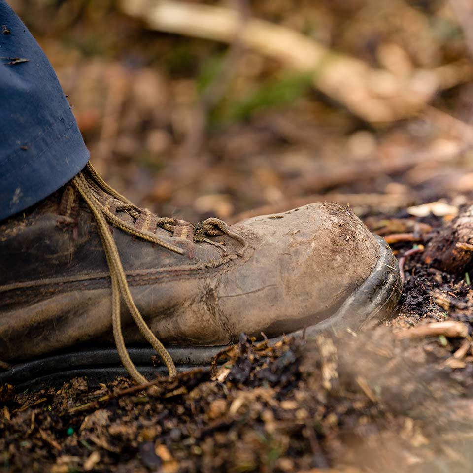 Gently compressing soil around newly planted tree