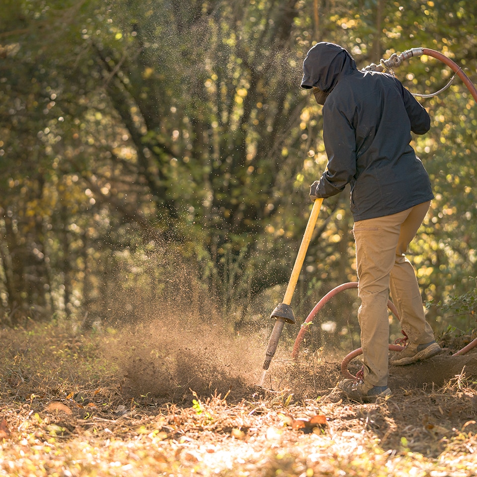 Air excavation loosening compacted soil around tree roots without damaging them