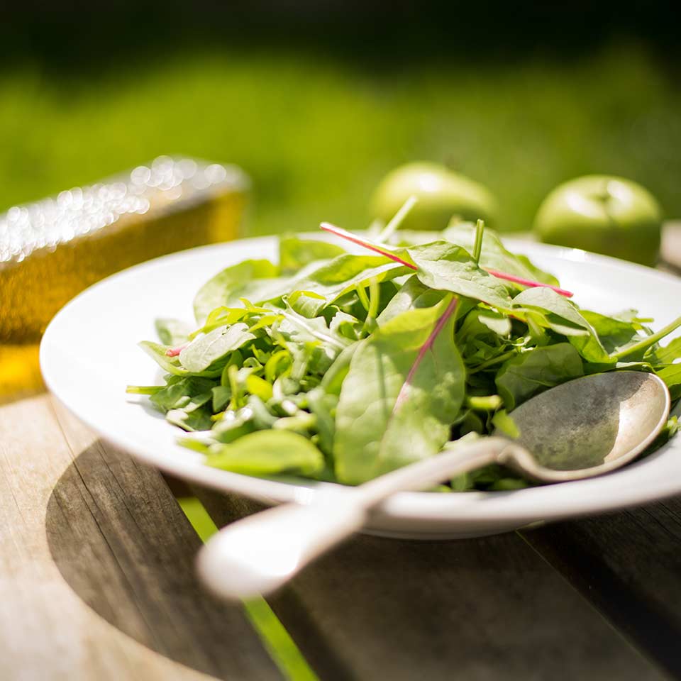 Healthy soil with organic matter, ready for planting