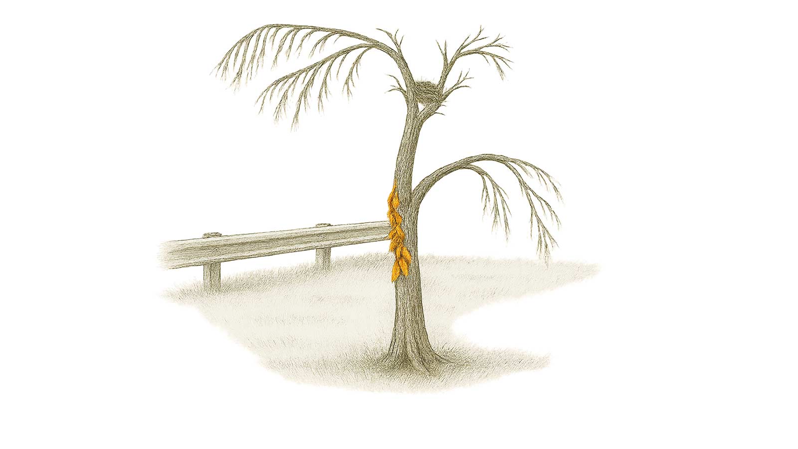 Tree near a highway onramp with dead vines on it and new growth.