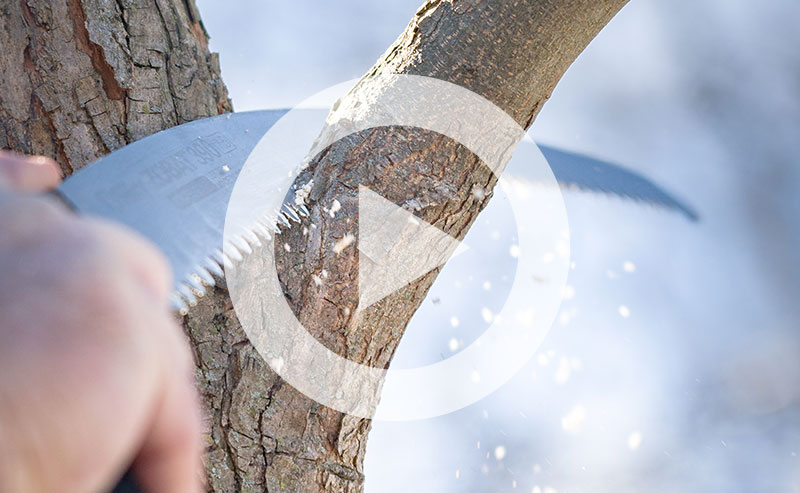 Tree branch being pruned.