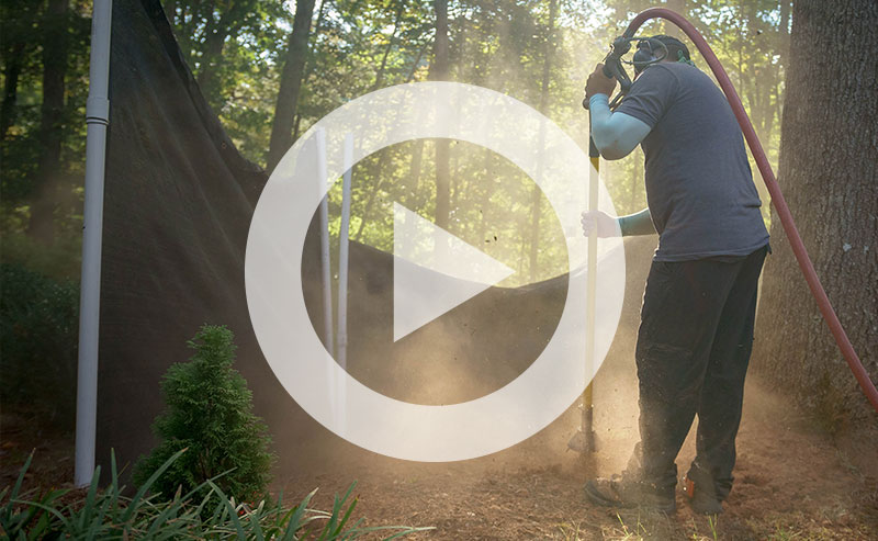 Close-up of soil improvement.