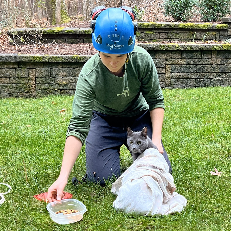 In fact, Andrea rescued so many cats this year that when you Google <i>raleigh cat tree rescue</i>, call Leaf & Limb is the first response.