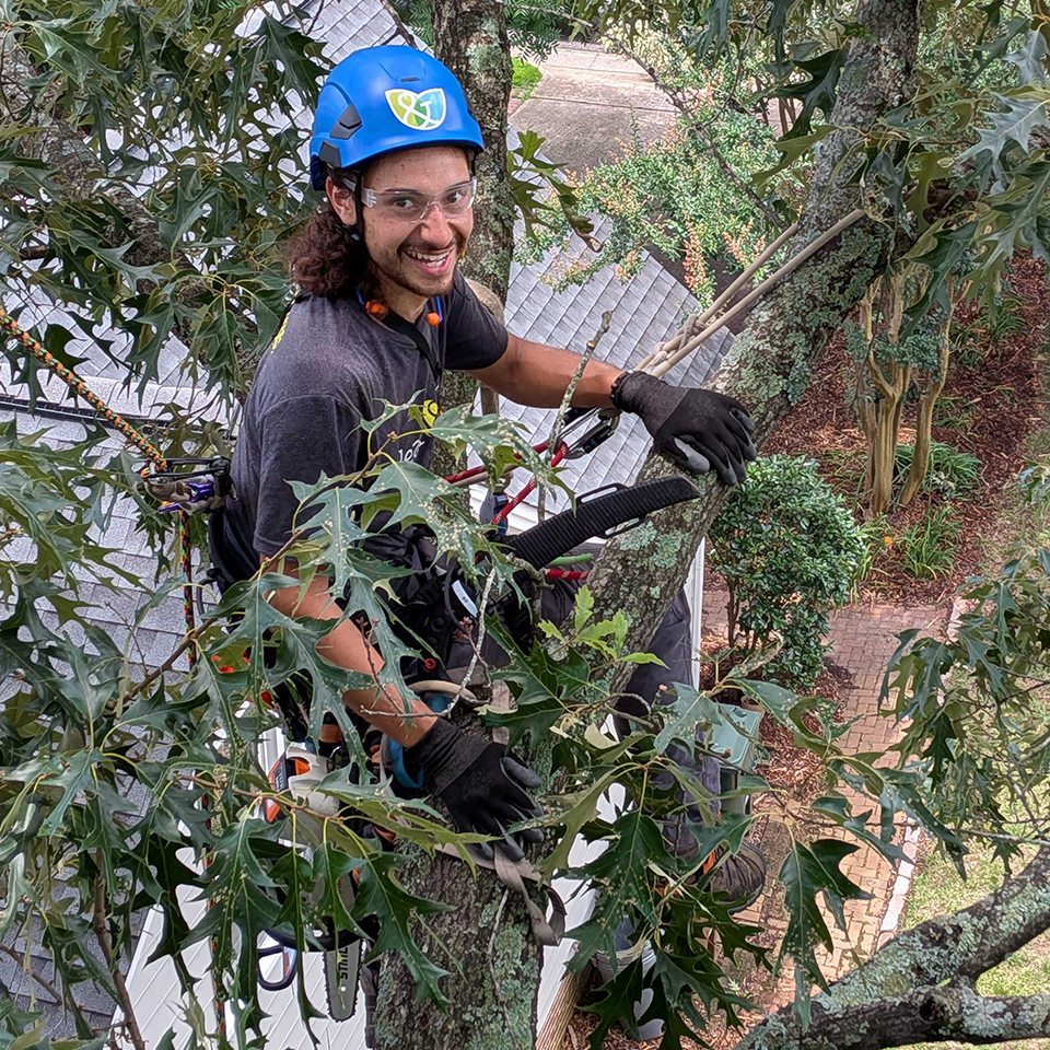 Care happens at every level. From the ground to the canopy, trust, skill, and joy make the work possible.