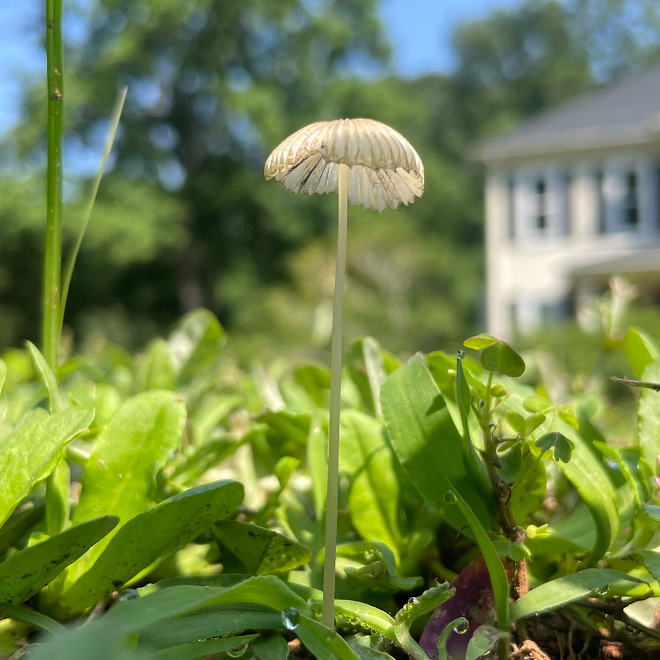 Life doesn’t always announce itself loudly. Some of the most important things appear quietly, briefly, and exactly when conditions are right.