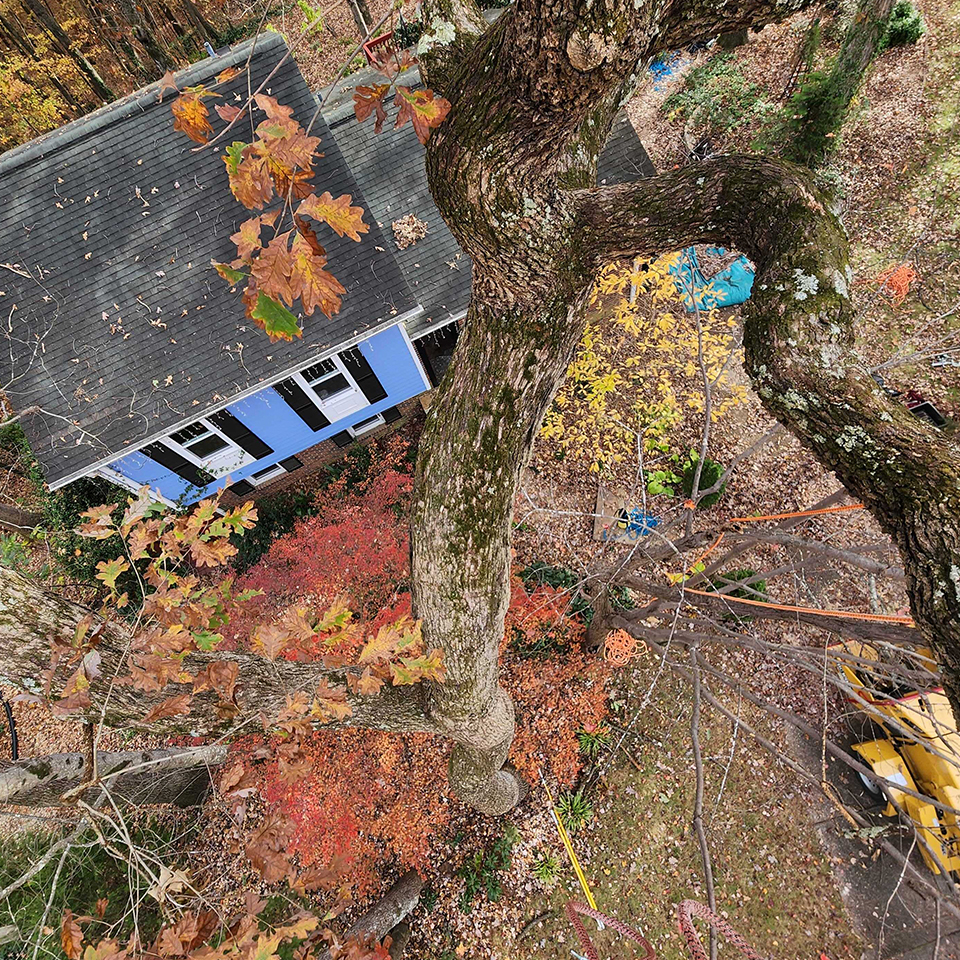 Change is easier to see with a little perspective.