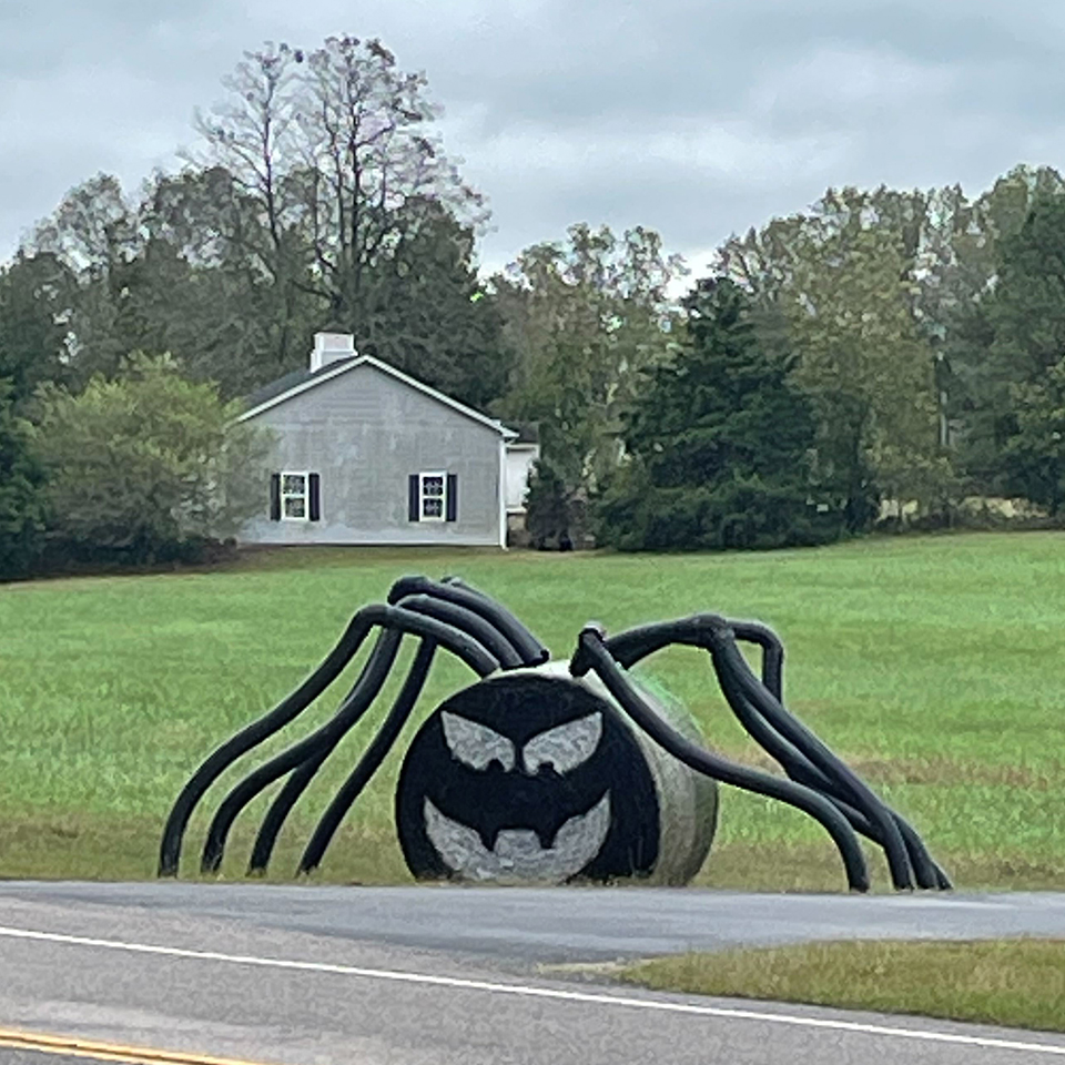 Sometimes nature surprises you with a sense of humor.