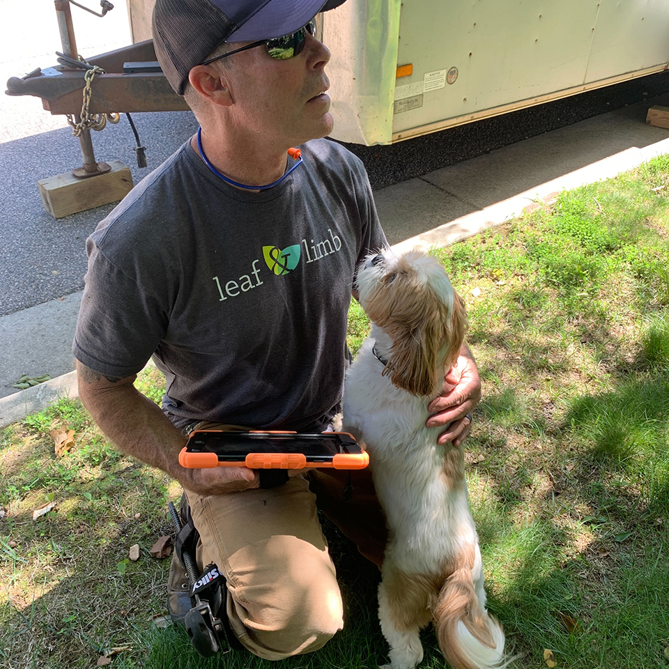 Workdays are better with companions who remind us to look up, breathe, and pay attention to what’s right in front of us.