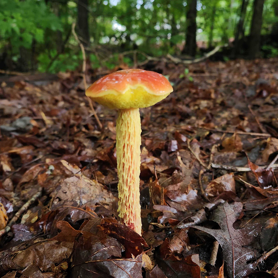 There’s always more happening just below the surface.