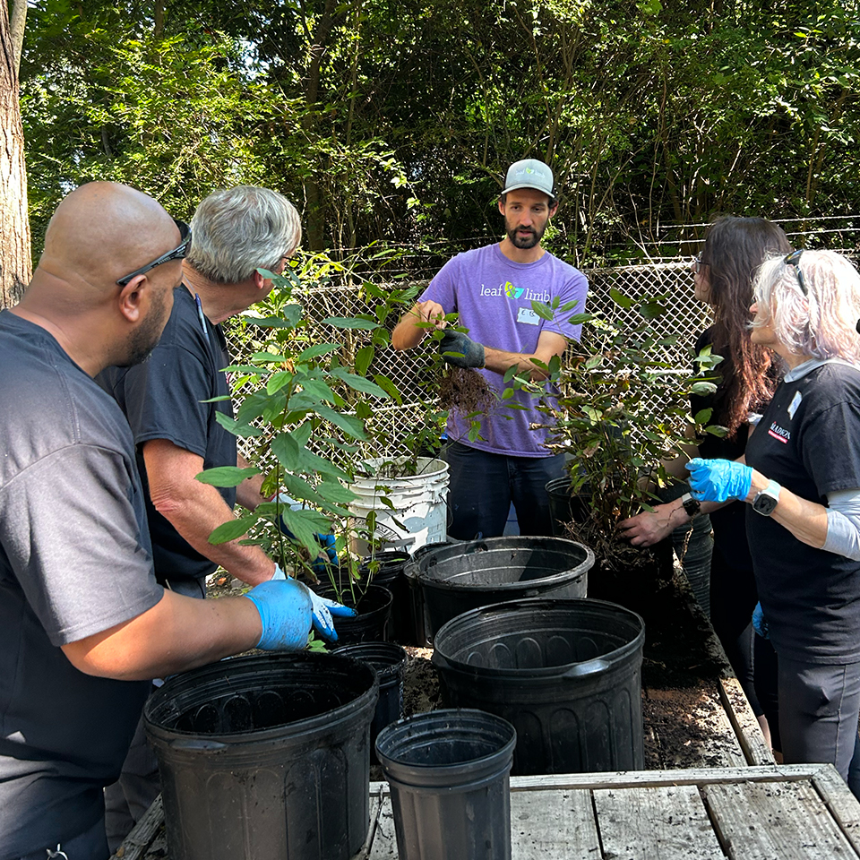 Knowledge grows best when it’s shared. These moments—questions, soil under fingernails, stories exchanged—are where restoration really begins.