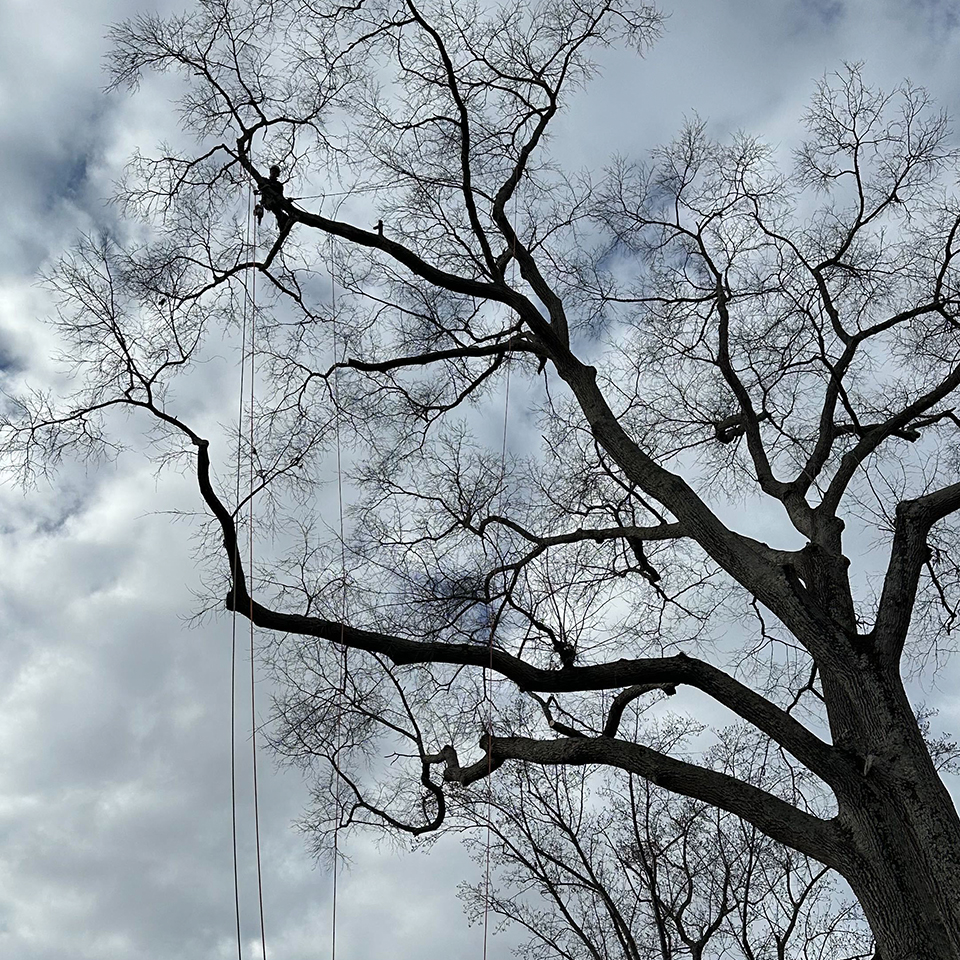 Good care means knowing when and how to intervene.