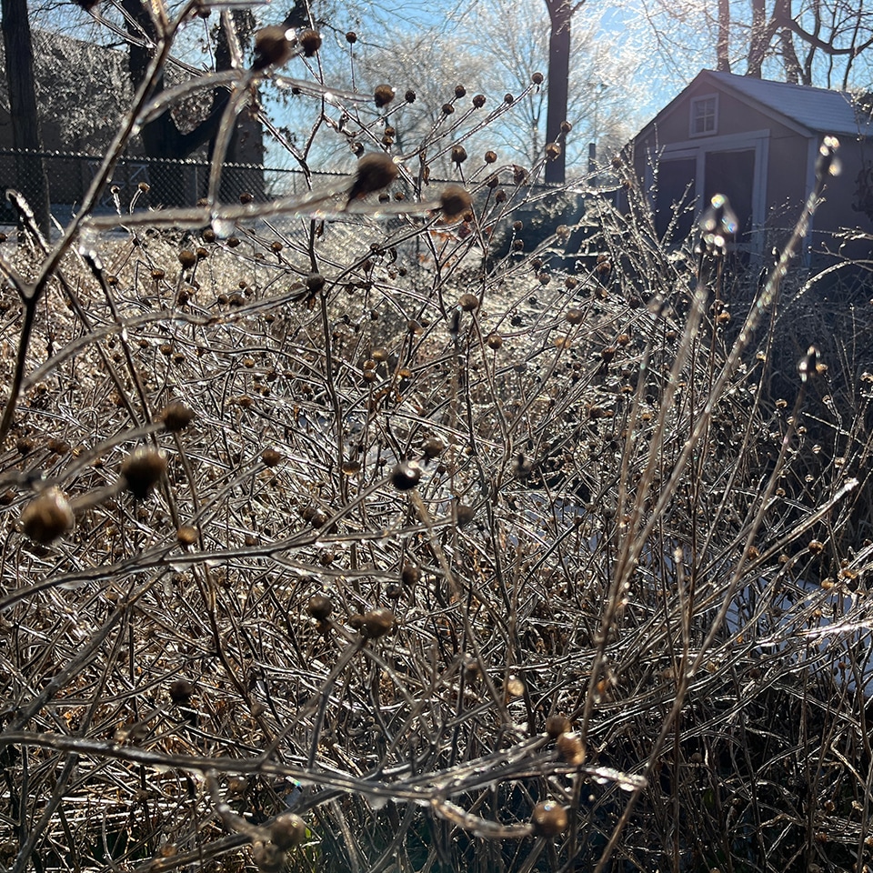 And the winter weather made our prairies sparkle.