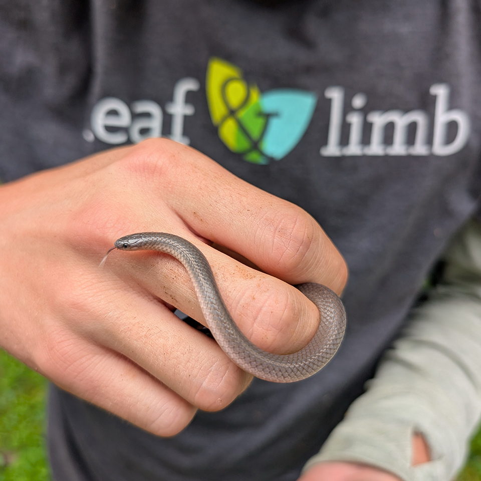 Respecting wildlife means giving space and staying curious.