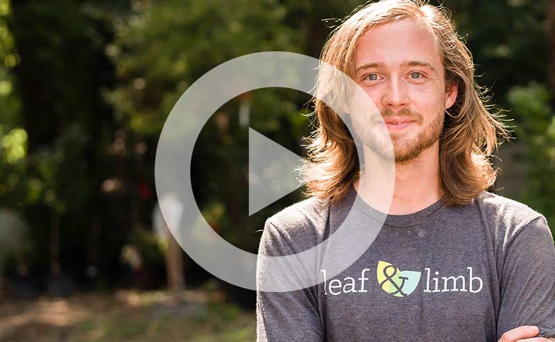 Arborist Zeb climbing and pruning trees